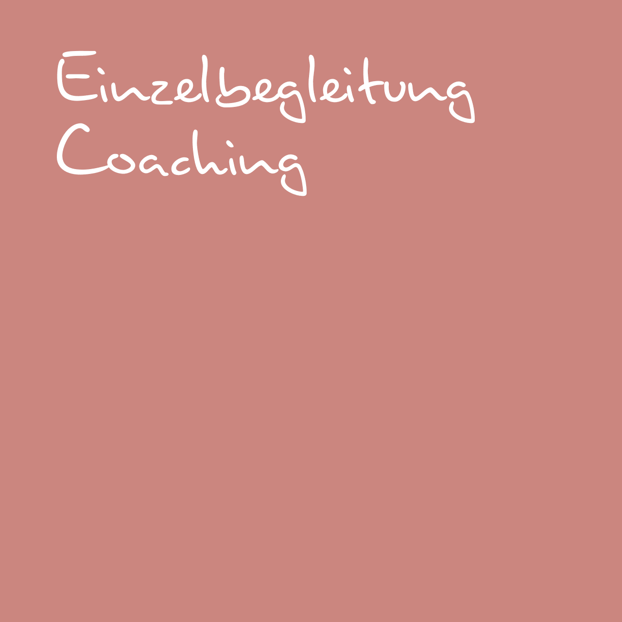 Einzelbegleitung, Coaching