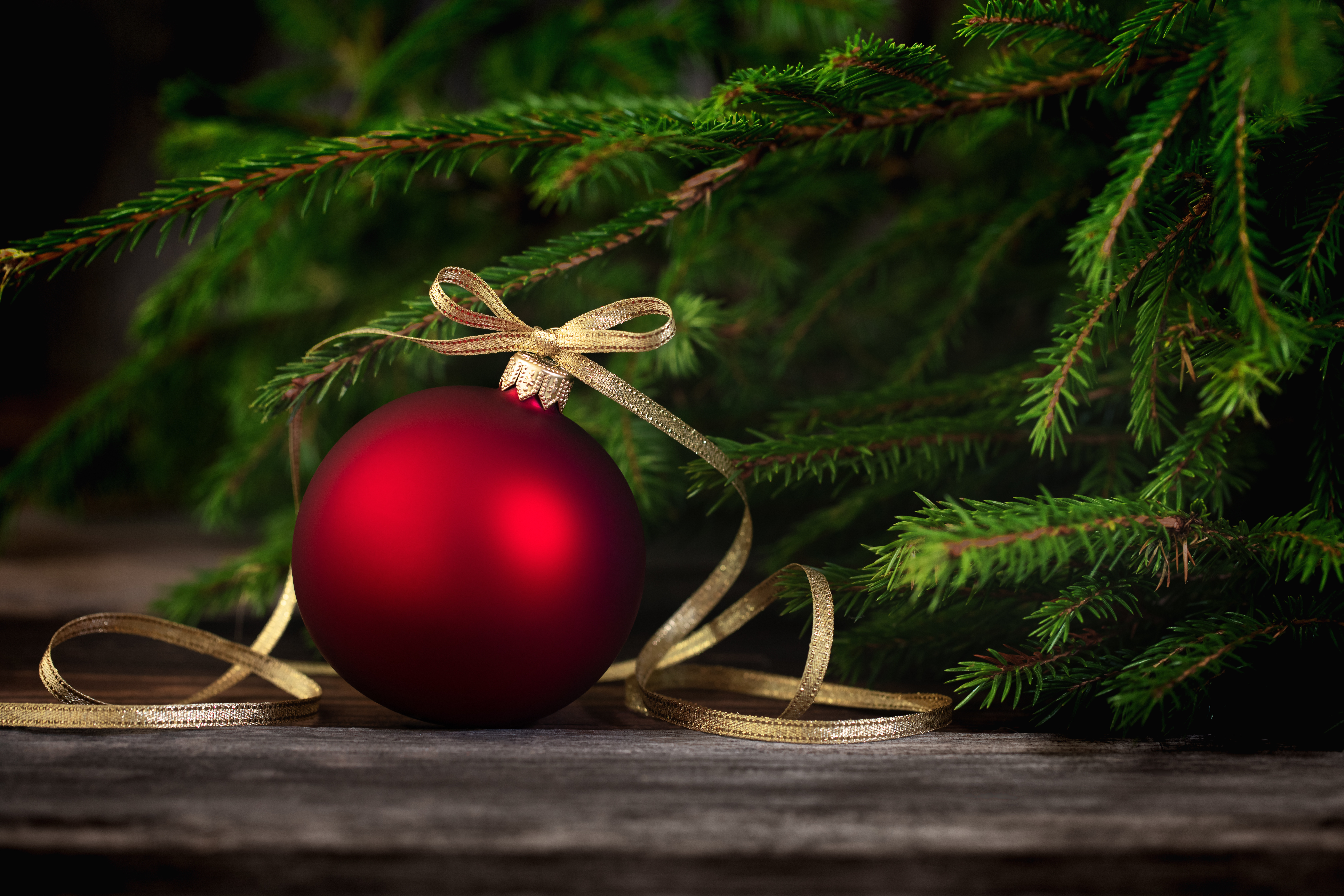 Christbaumkugel vor dem Tannenbaum