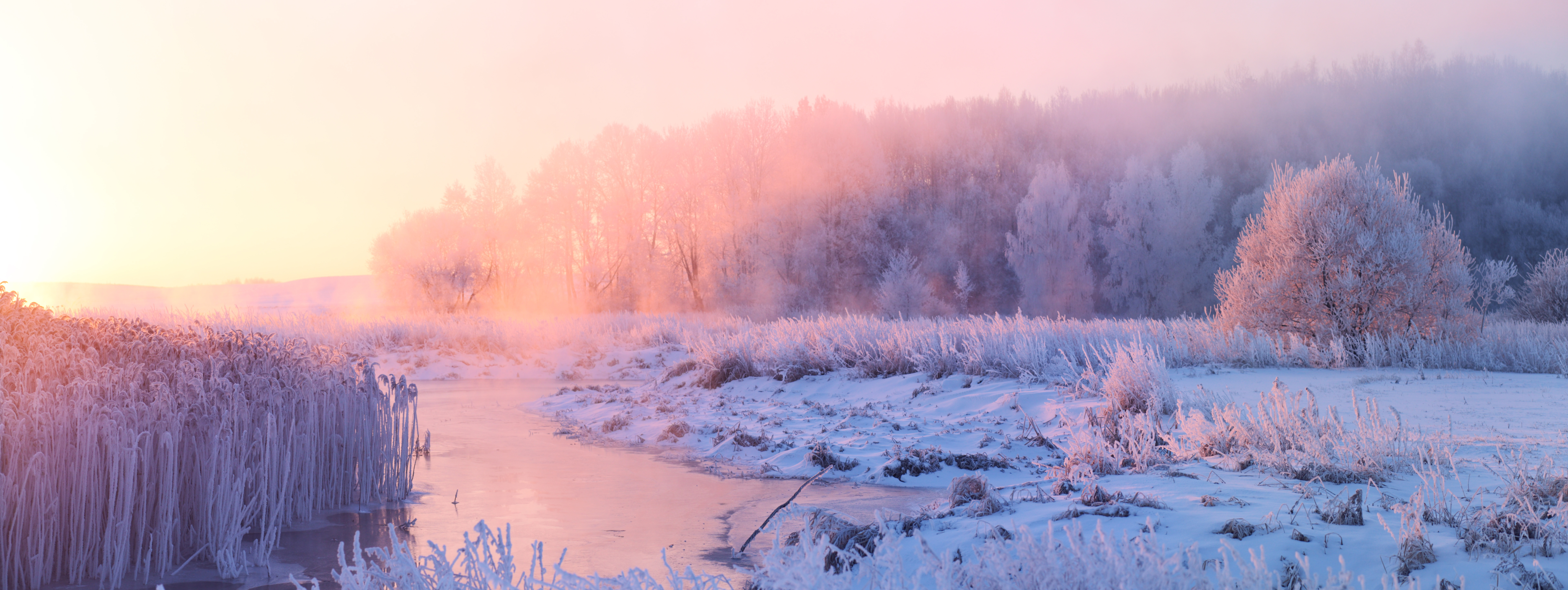 Winterlandschaft im Nebel